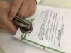 Picture of Customised Application for DHL to Panama